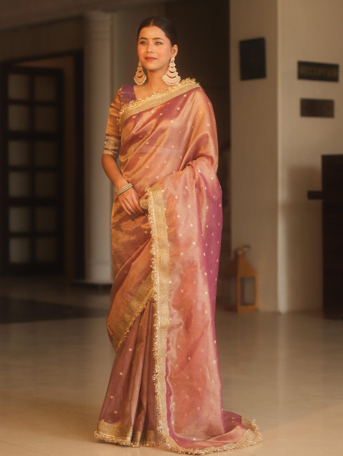 Banarasi Tissue Soft Silk Saree